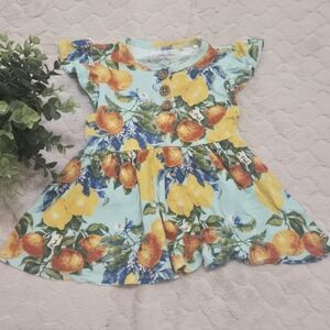 Posh Peanut Aqua Blue Colorful Fruit Baby Girl Dress, Size 2T